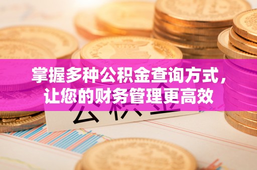 吴起掌握多种公积金查询方式，让您的财务管理更高效