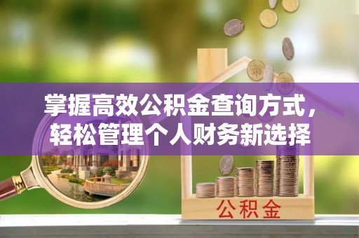 吴起掌握高效公积金查询方式，轻松管理个人财务新选择