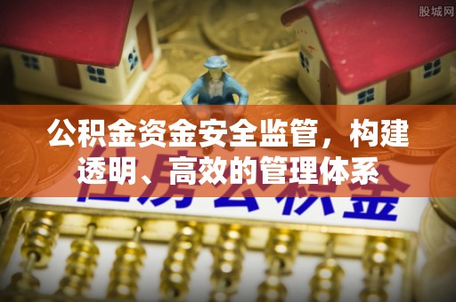 吴起公积金资金安全监管，构建透明、高效的管理体系