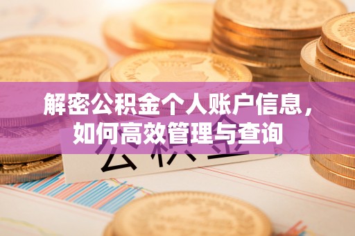 吴起解密公积金个人账户信息，如何高效管理与查询