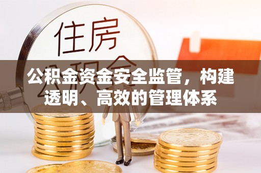 吴起公积金资金安全监管，构建透明、高效的管理体系