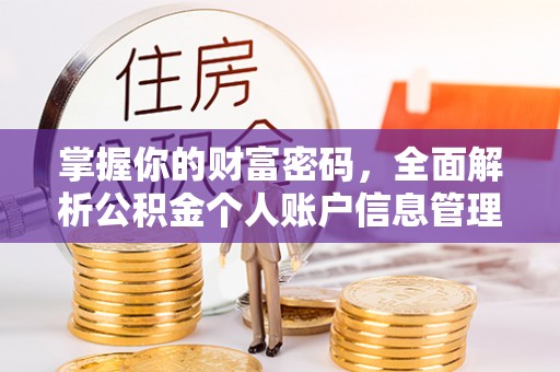吴起掌握你的财富密码，全面解析公积金个人账户信息管理