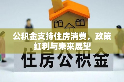 吴起公积金支持住房消费，政策红利与未来展望