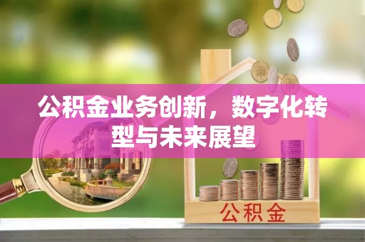 吴起公积金业务创新，数字化转型与未来展望
